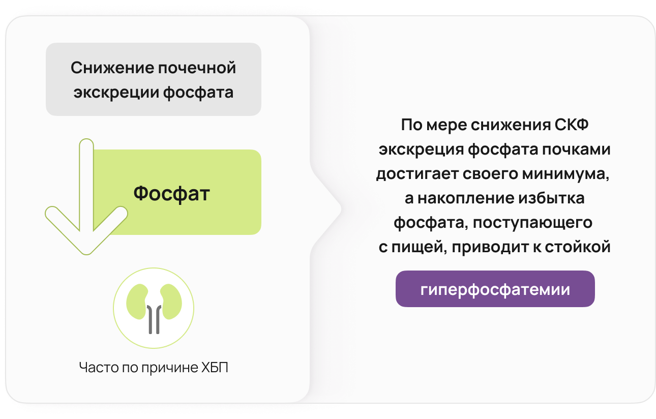 Снижение почечной экскреции фосфата