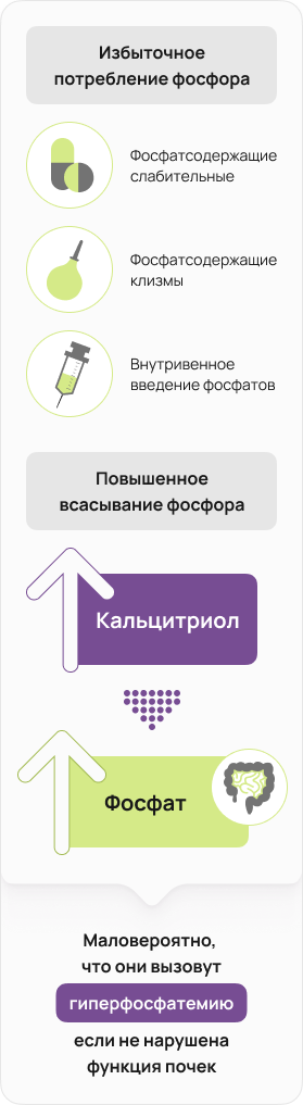 Избыточное потребление фосфора